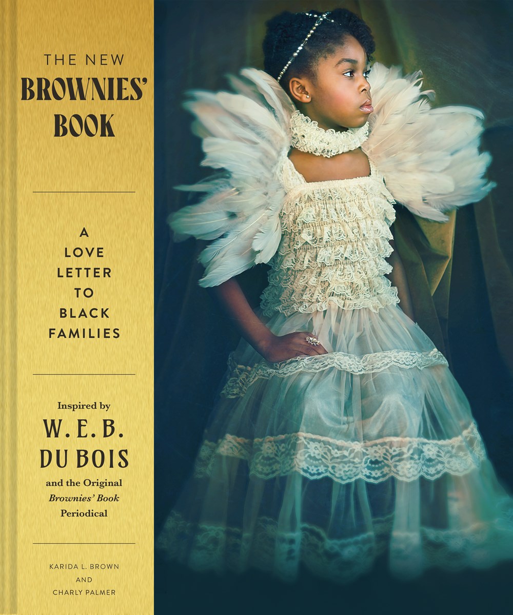 The New Brownies' Book cover image