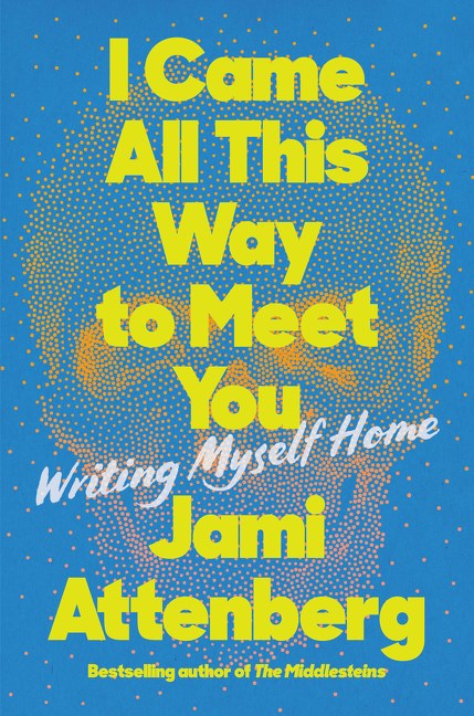 I Came All This Way to Meet You cover image