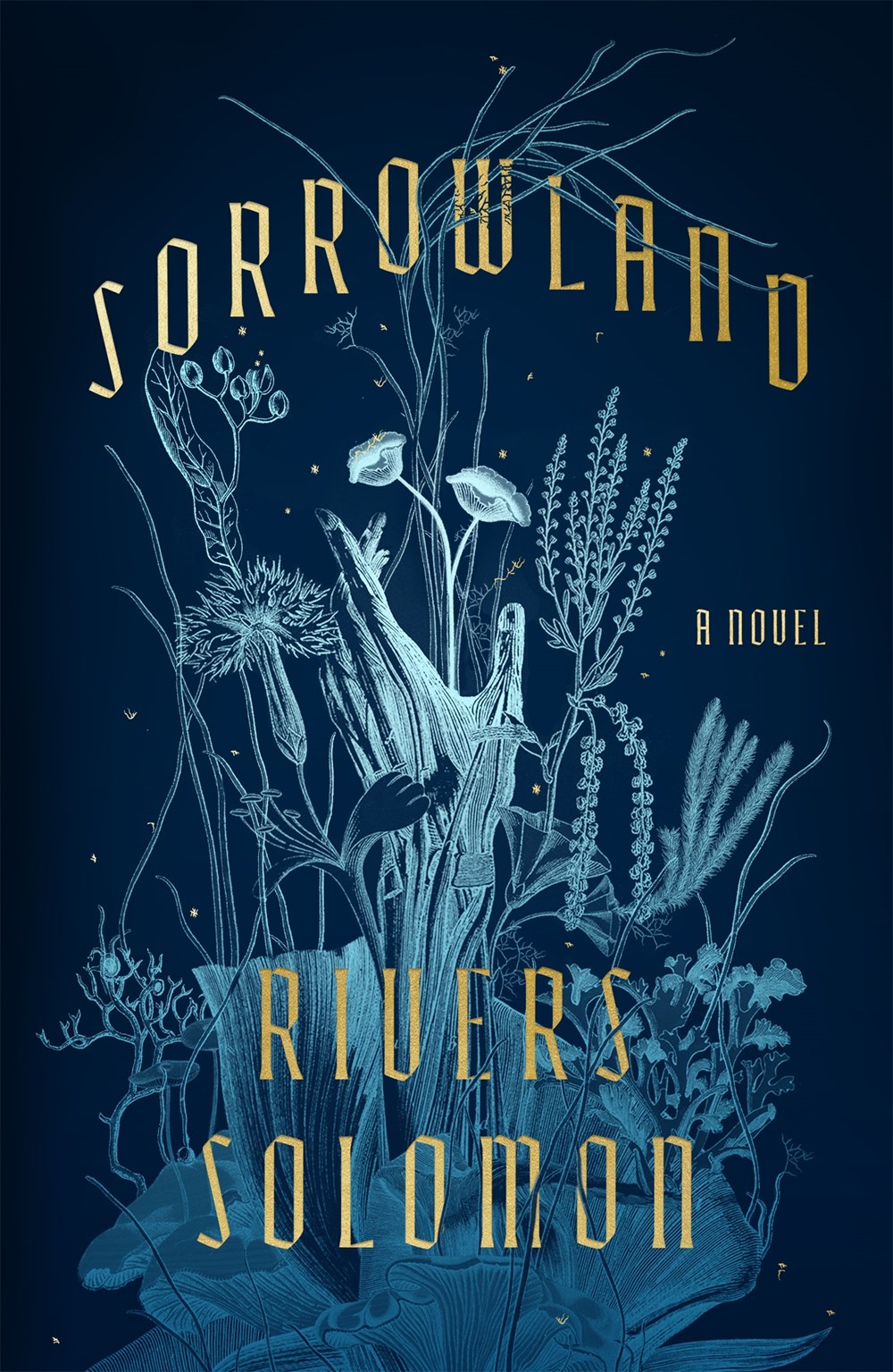 Sorrowland cover image
