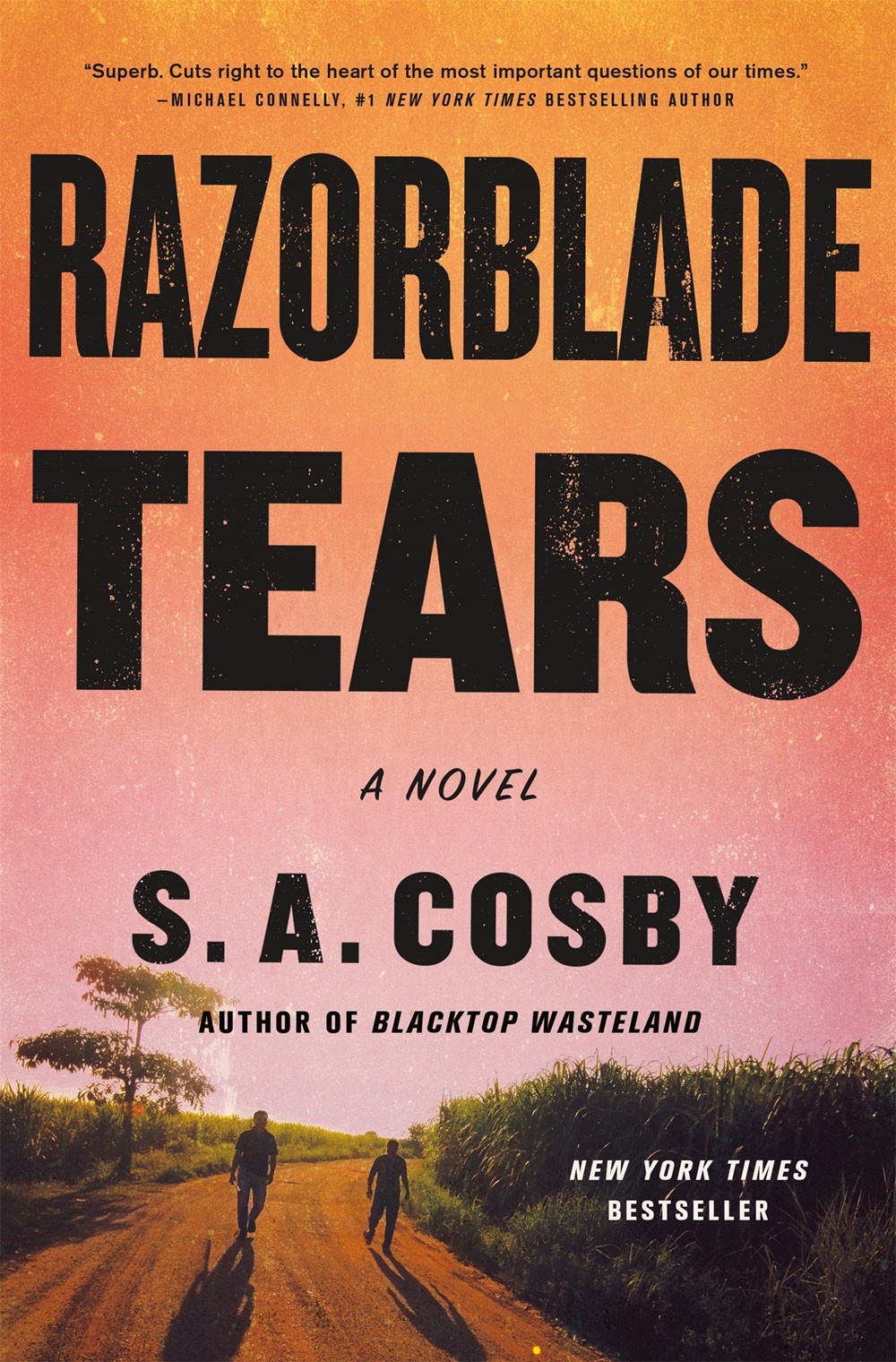 Razorblade Tears cover image