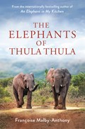The elephants of Thula Thula cover