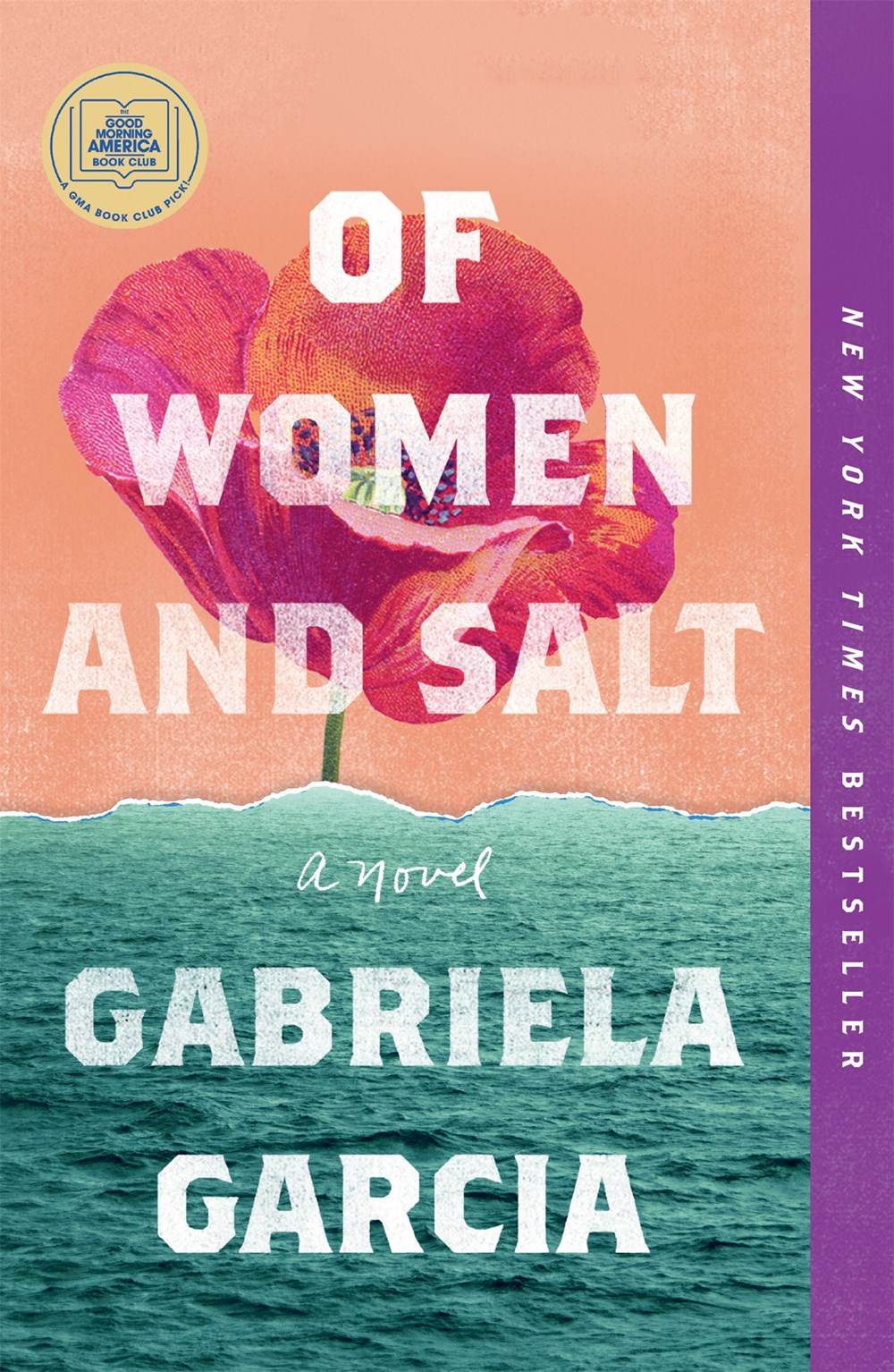 Of Women and Salt cover image