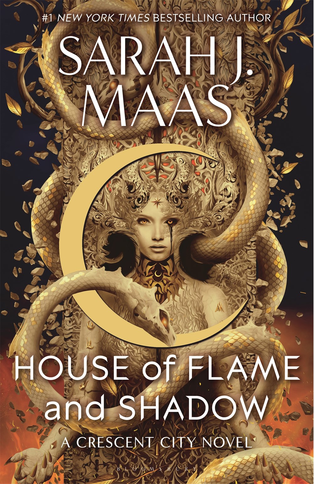 House of Flame and Shadow cover image