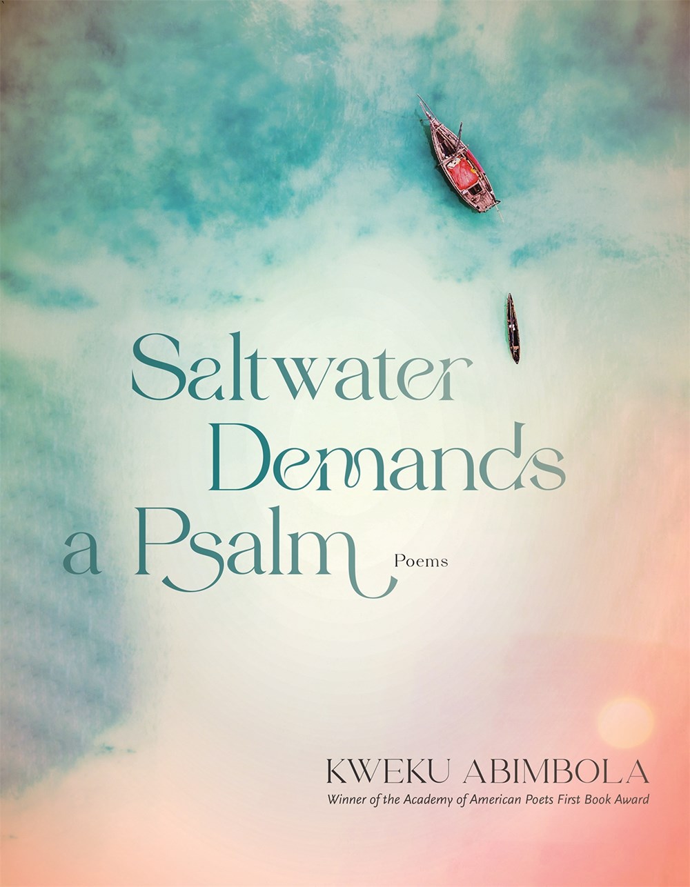 Saltwater Demands a Psalm cover image