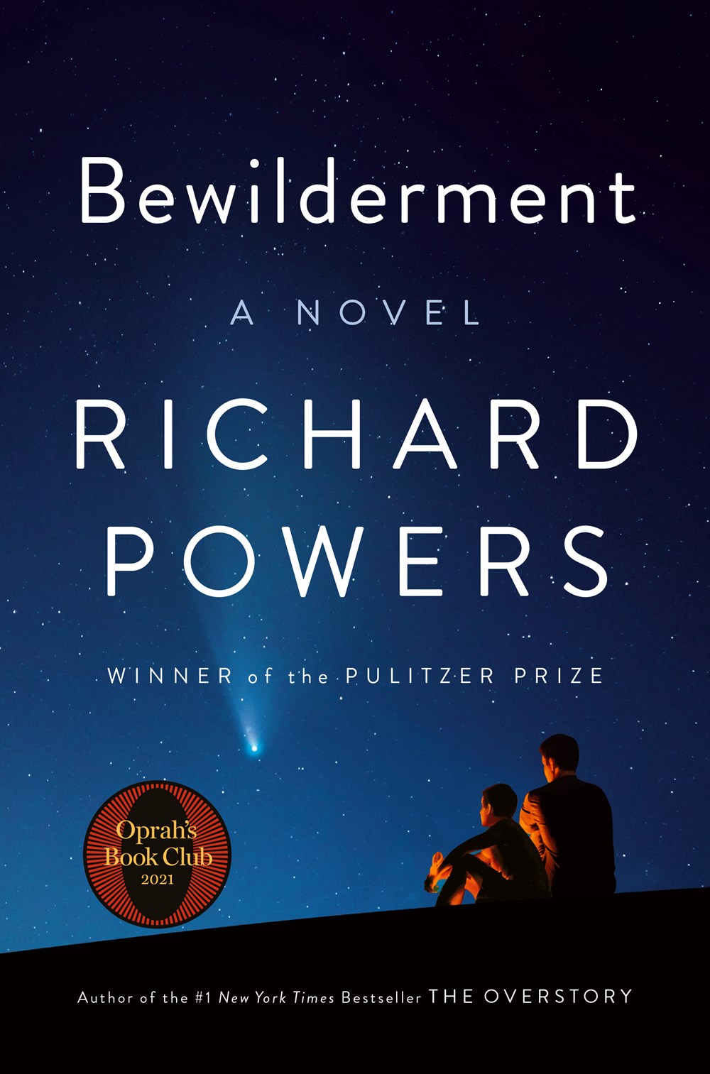Bewilderment cover image