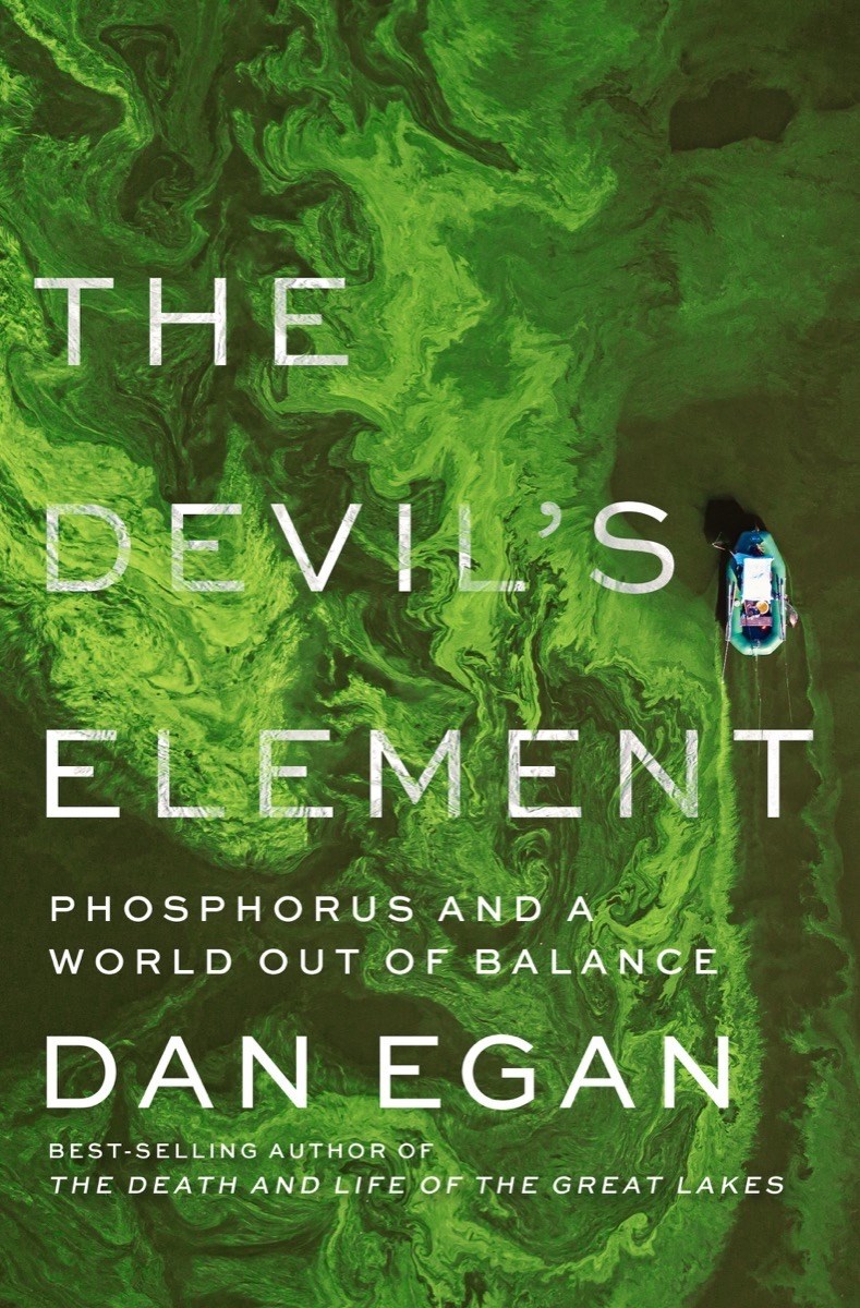 The Devil's Element cover image