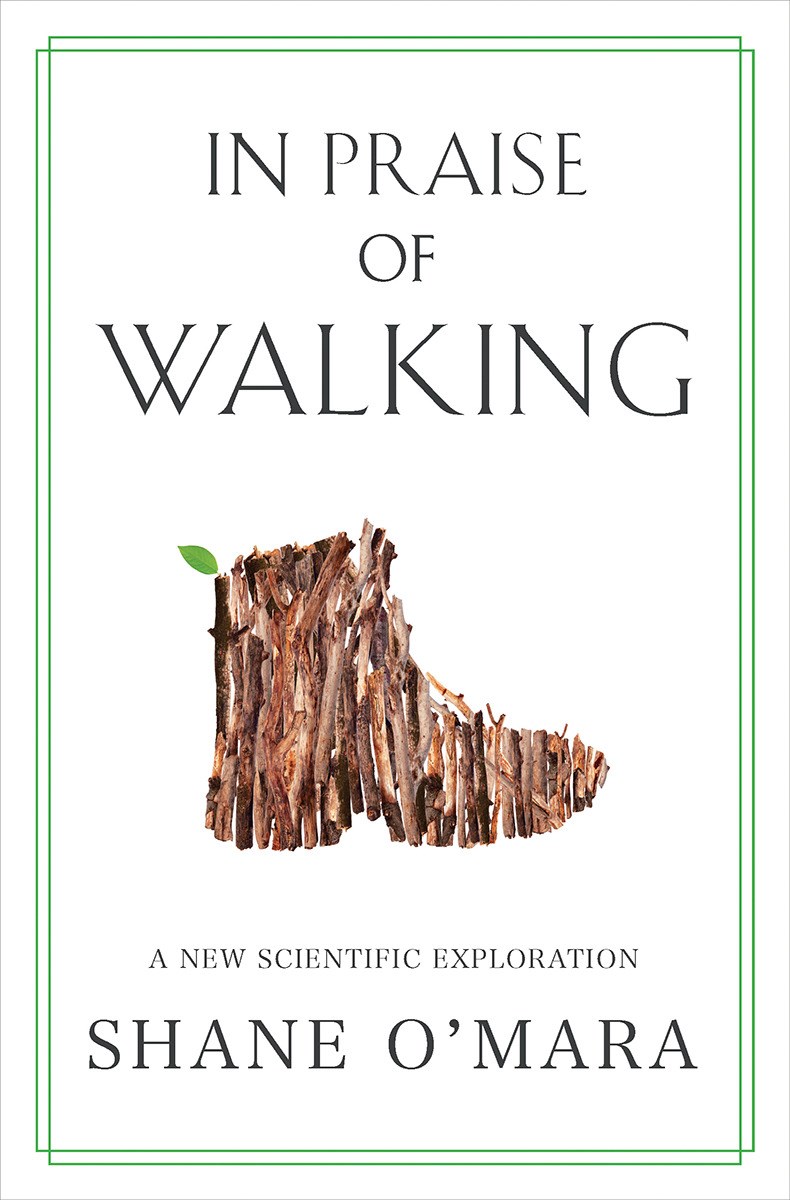 In Praise of Walking cover image