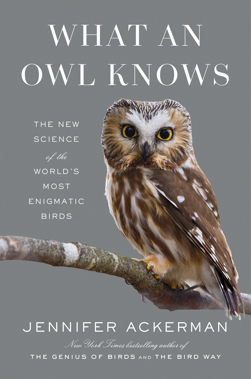 What an Owl Knows cover image