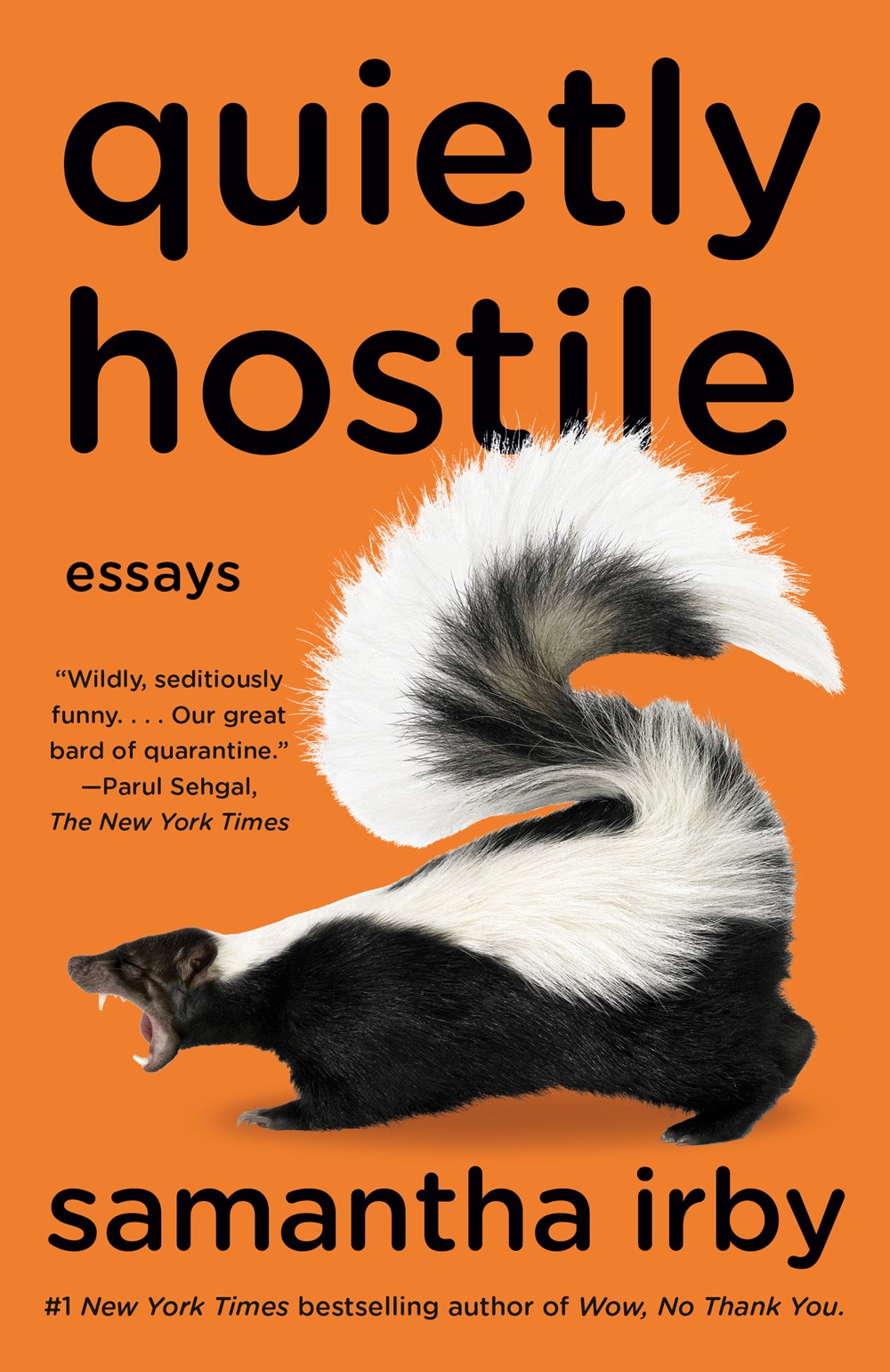 Quietly Hostile cover image