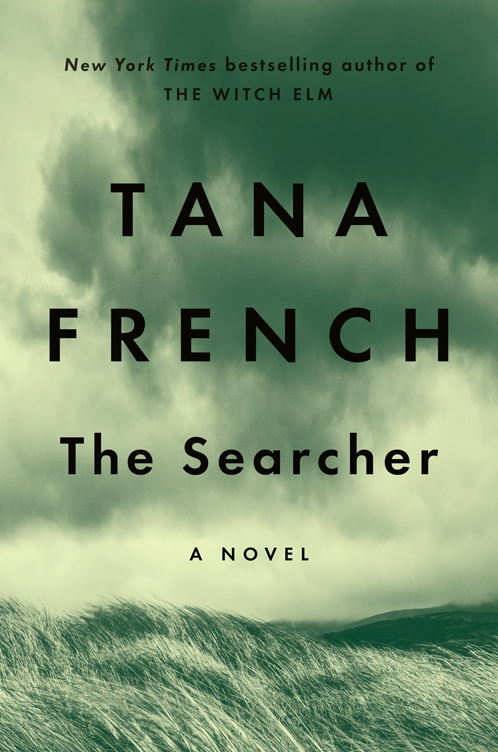 The Searcher cover image