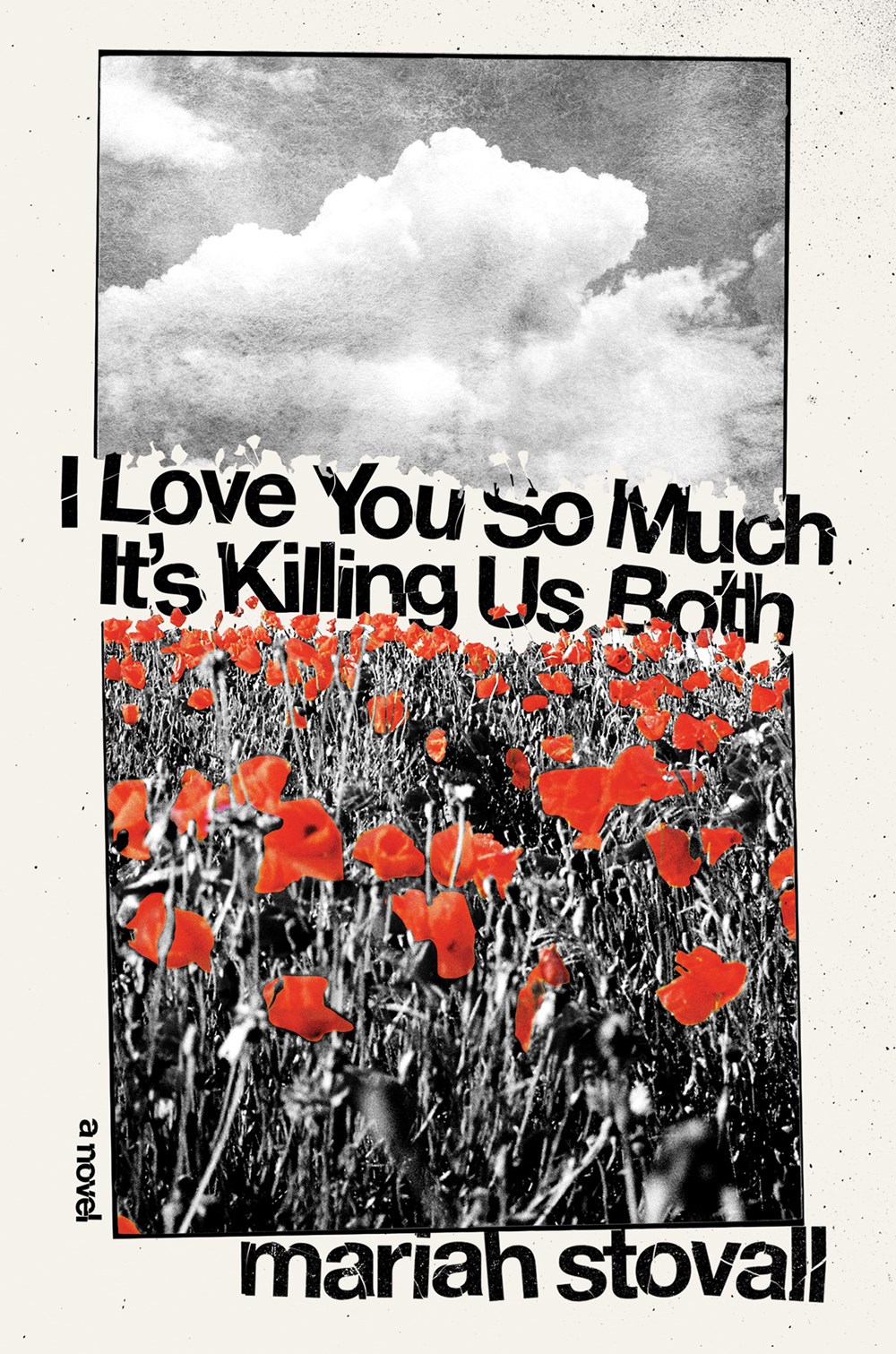 I Love You So Much It's Killing Us Both cover image
