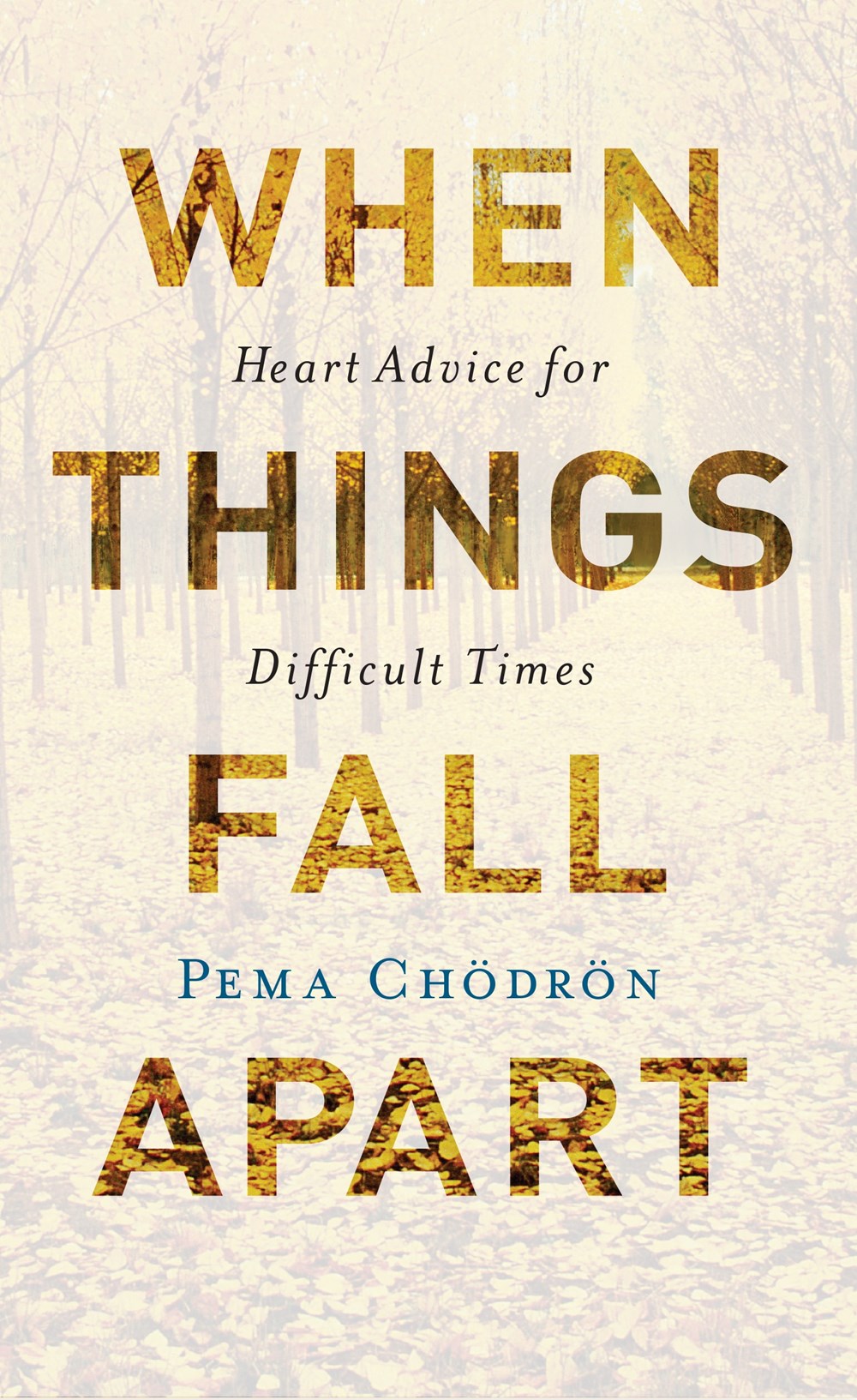When Things Fall Apart cover image