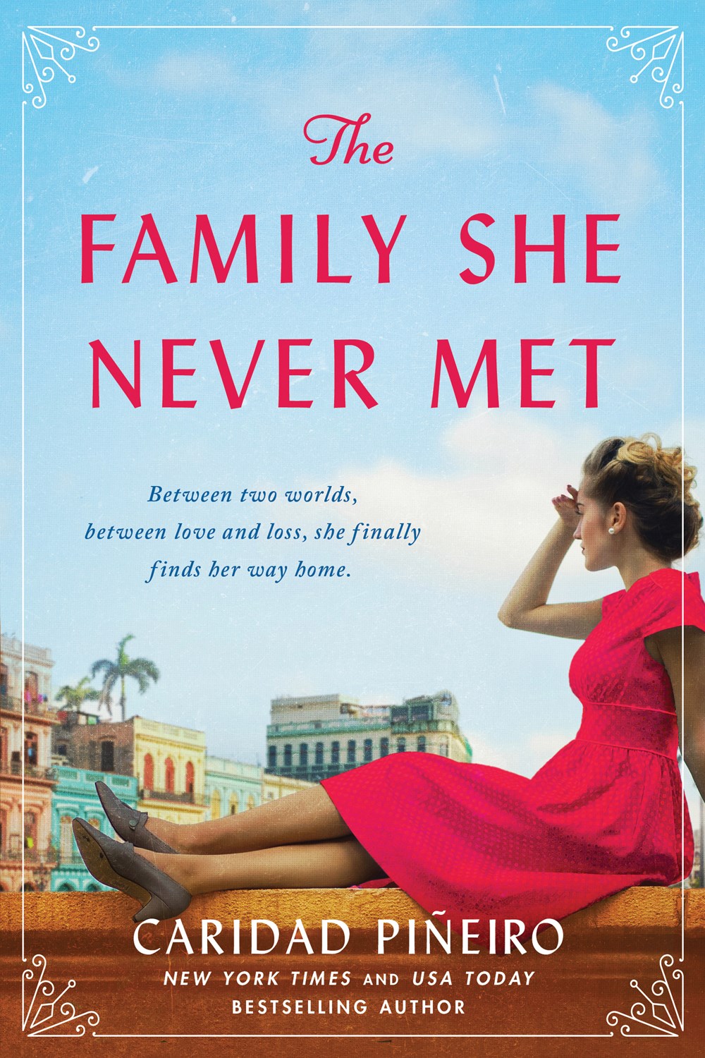The Family She Never Met cover image